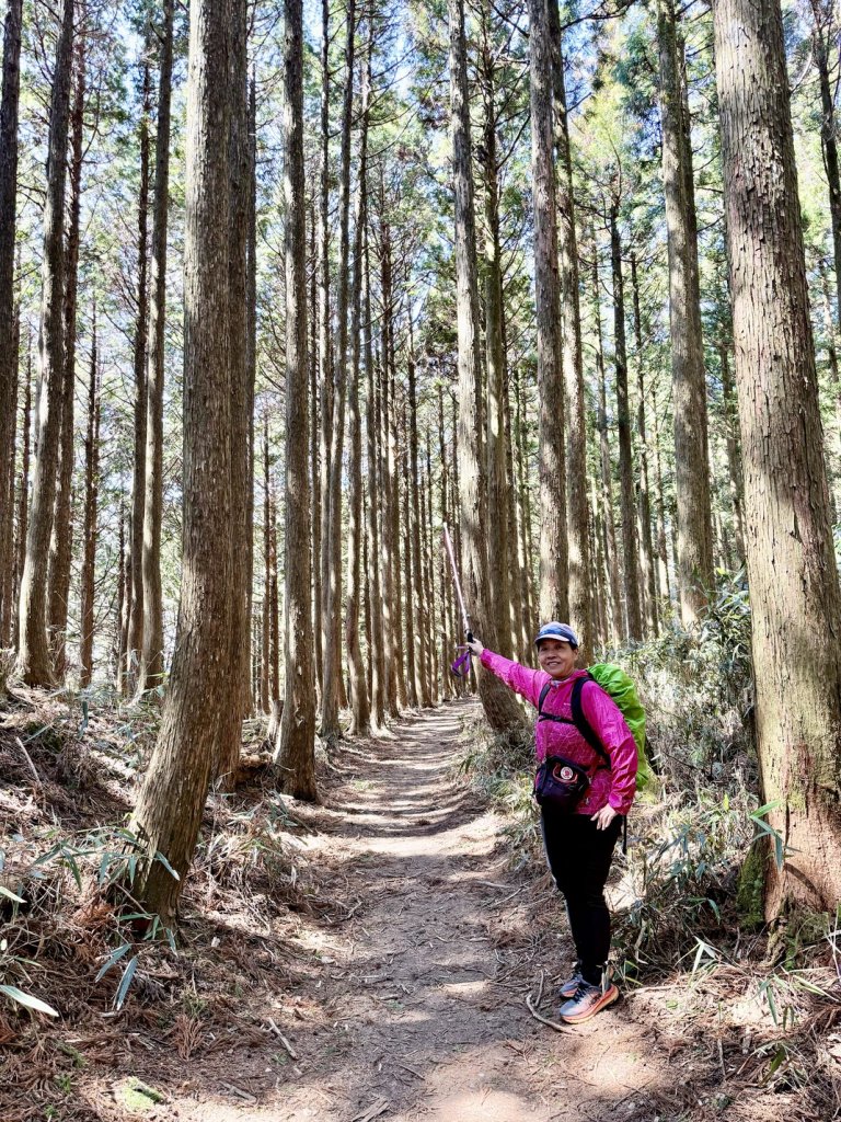 熊野古道中邊路D6 大雲取越 2025.3.21_2747118