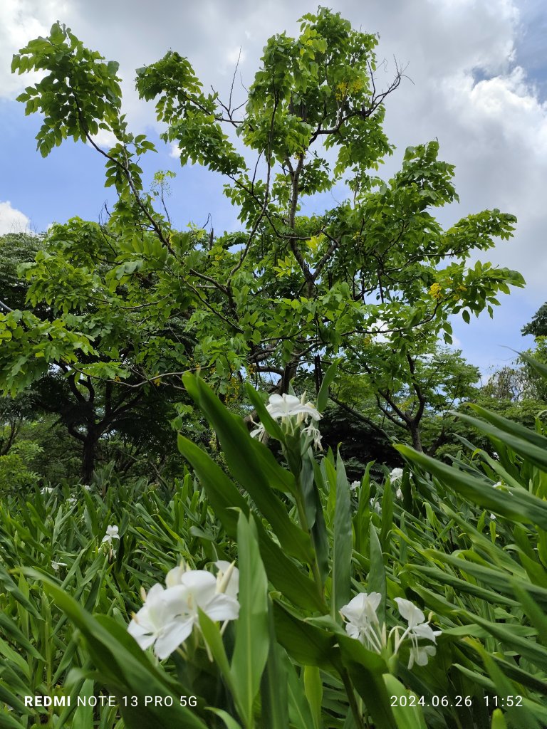 大安森林公園【走路趣尋寶】【臺北健走趣】_2536140