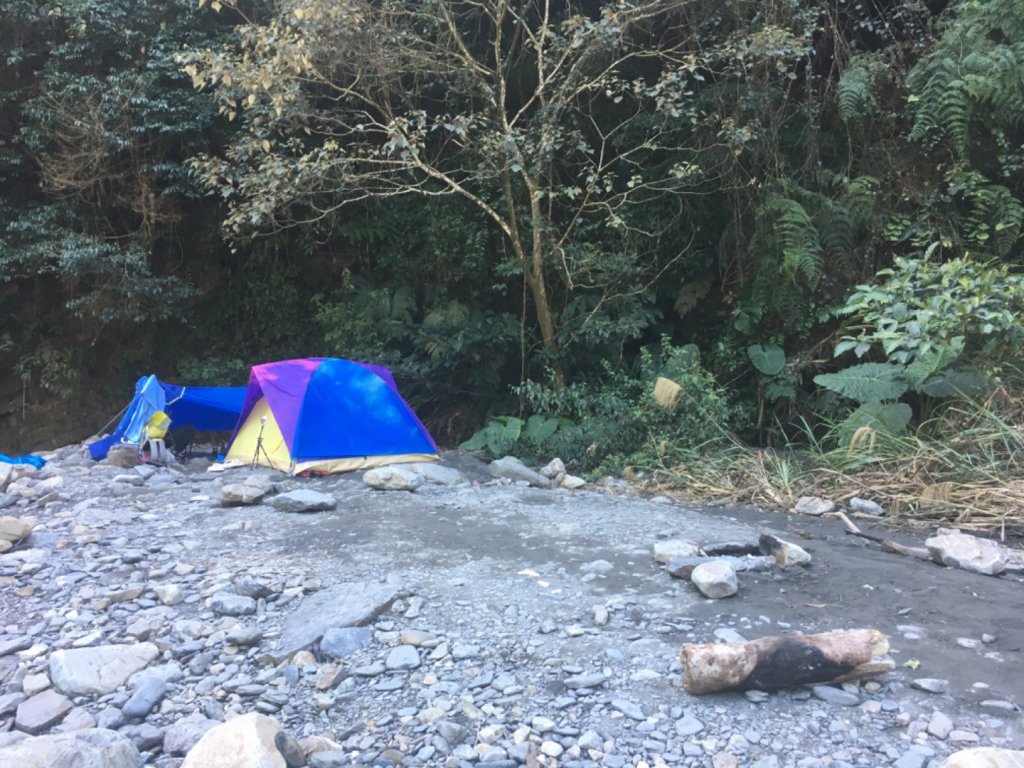 芃芃溫泉♨️_1965590