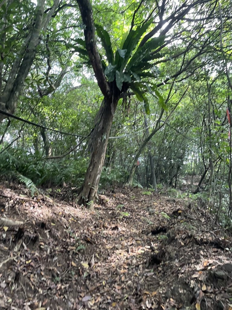 石笋古道O型_2553807