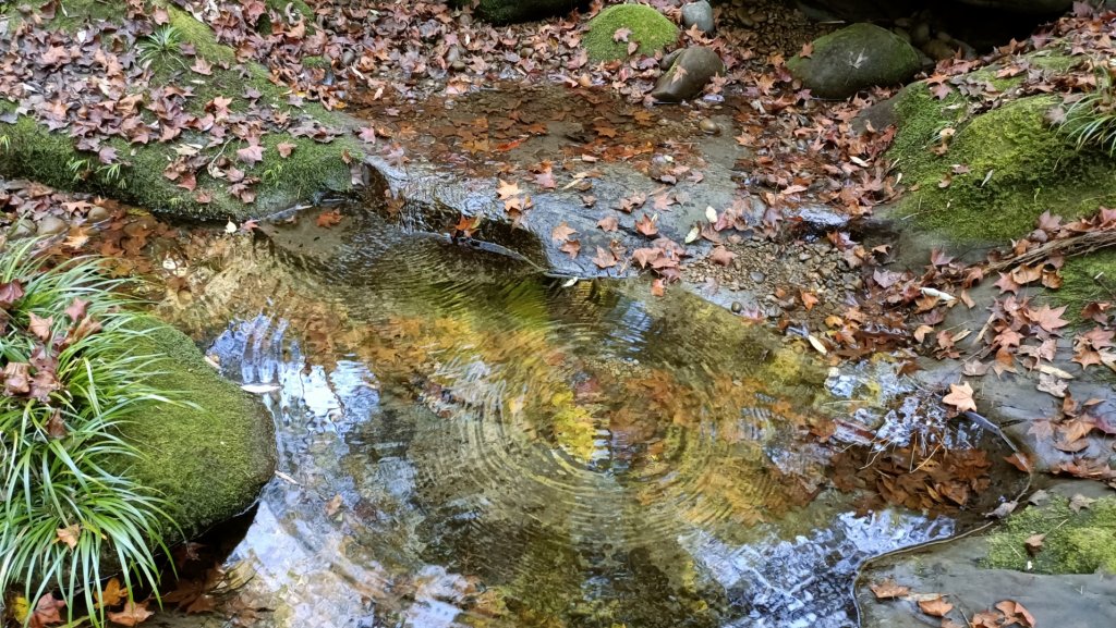 崩棚山探勘歷險記2023年1月13日_1992529