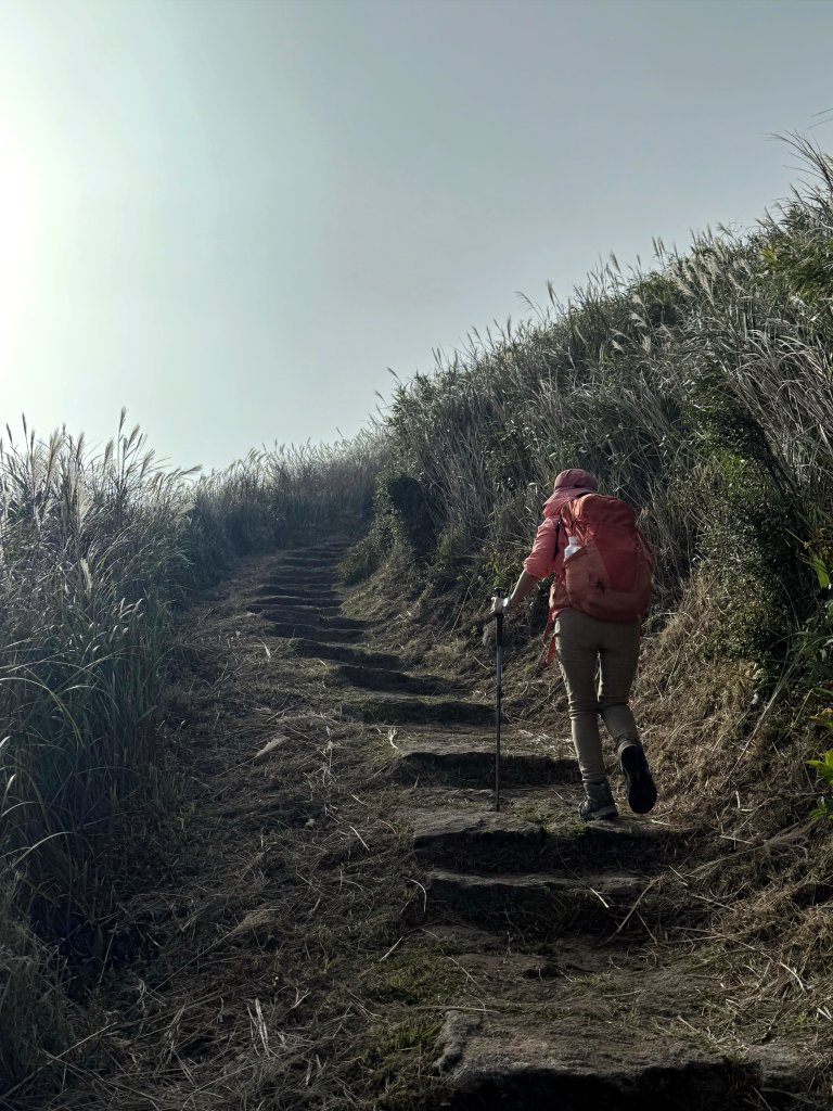 二子坪步道 經遊憩區 上面天山 20251108_2935050