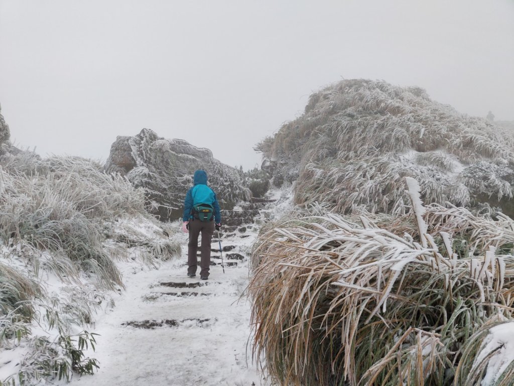 真假！七星山下雪封面圖