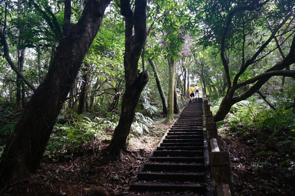 灣坑頭山 桃源谷步道 連走_2034736