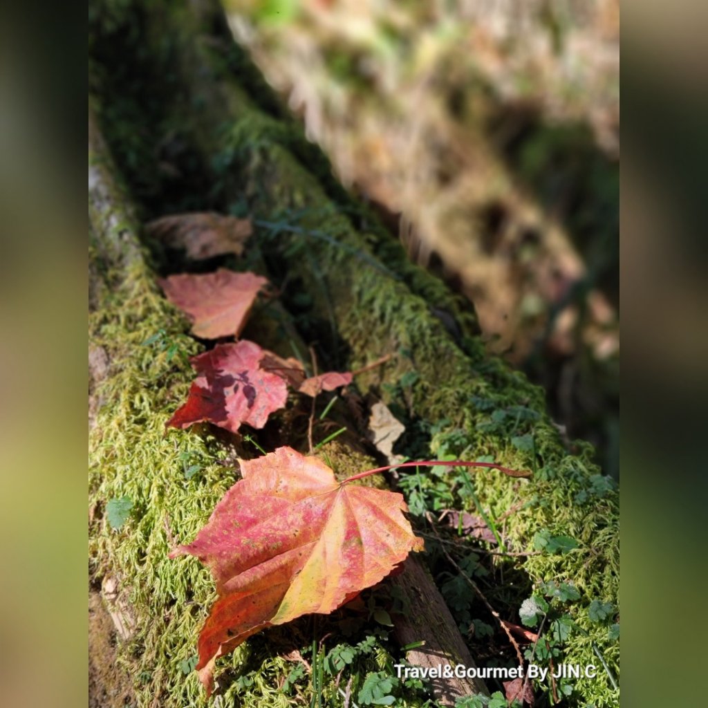 台灣小百岳大塔山_2034145