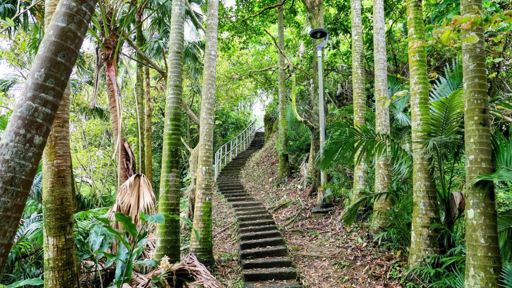 南港四小山。韓美磋封面圖