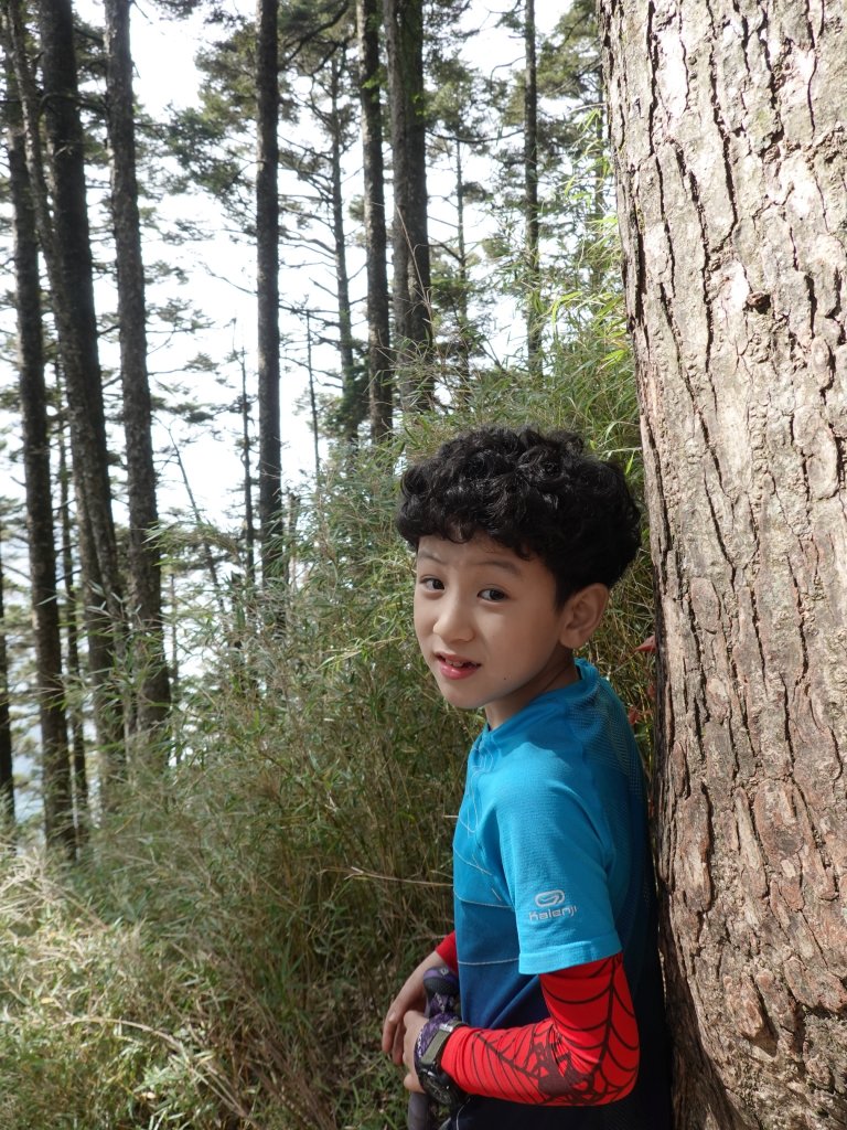 阿興阿賢｜辣辣的屏風山_1455354