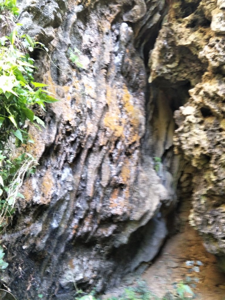 小百岳:南壽山十(海岸+少女峰+壽山+仙女山)_1620877