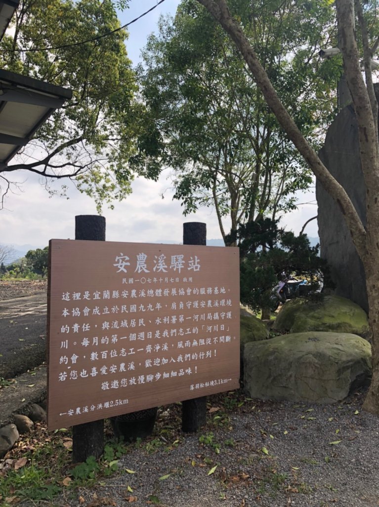 宜蘭縣三星鄉安農溪畔落羽松秘境_918164