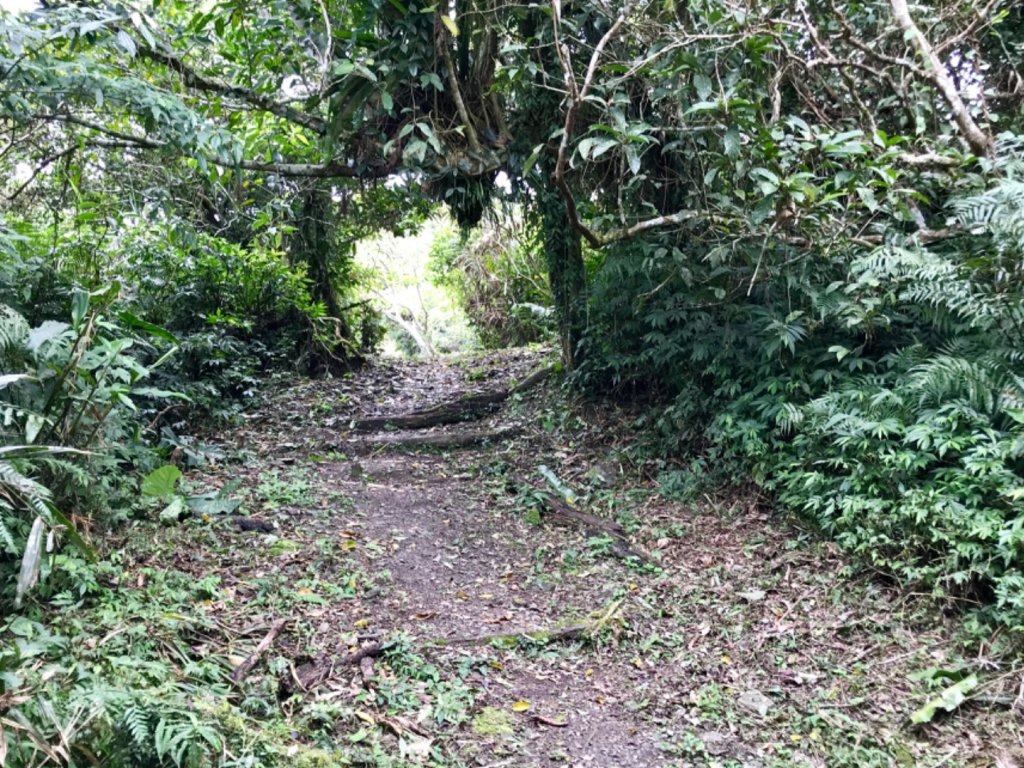 大南澳越嶺古道_553592