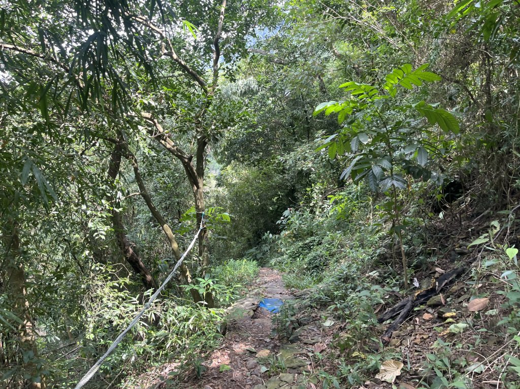 [屏步青雲 尋寶任務-06/10] 2024_1005 笠頂山步道_2616703