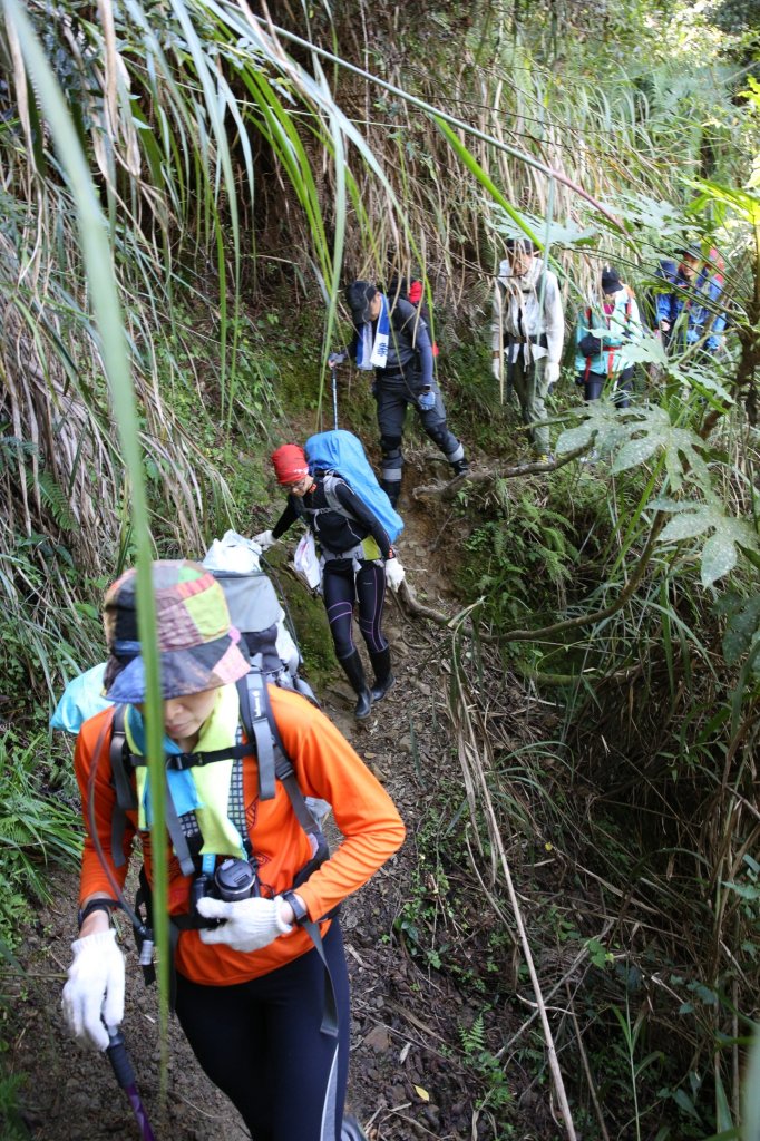水樣森林 第一次在山裡過夜_658559