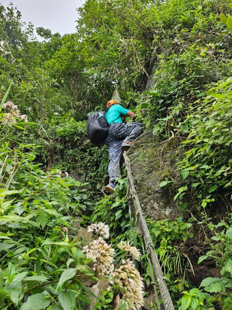 🌦️20240609瑪家真笠山上鱈葉根山封面圖