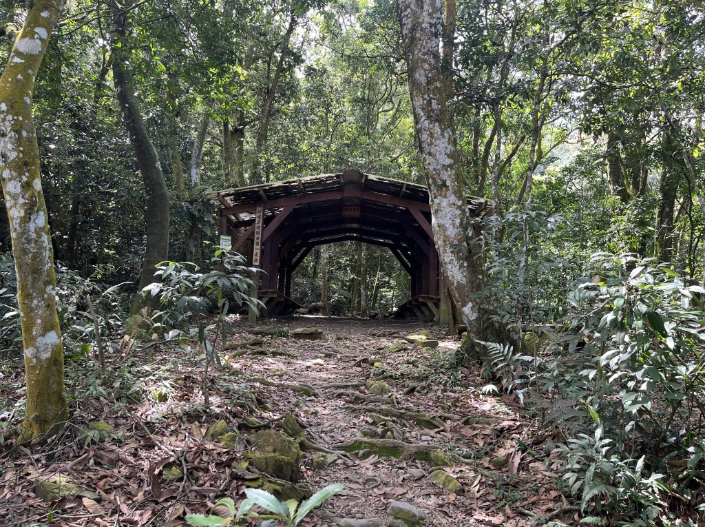 [屏步青雲 尋寶任務-02/10] 2024_0916 尾寮山登山步道_2597361