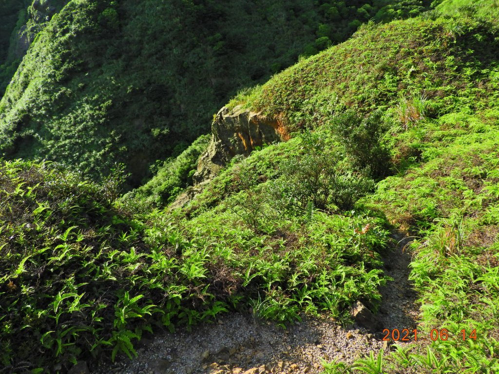 新北 瑞芳 半屏山、茶壺山、黃金洞_1415178