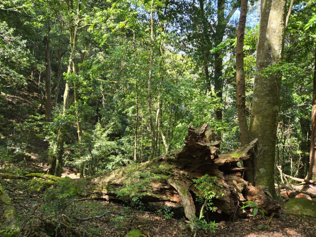 哈堪尼山_2761949