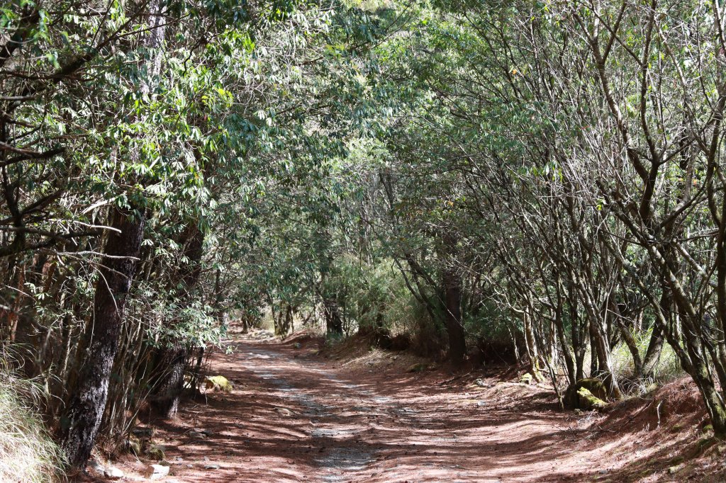 北三錐山耍廢行_2747042
