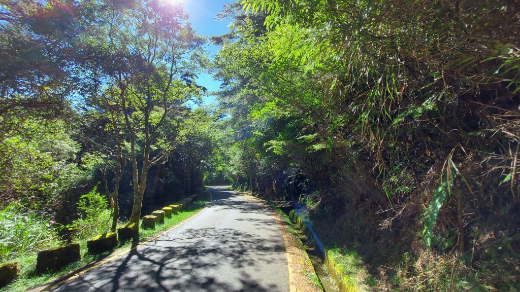 玉山主峰_1105116