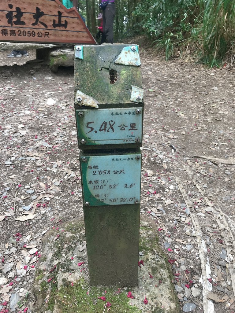~  水社大山登山步道  ~_1635758
