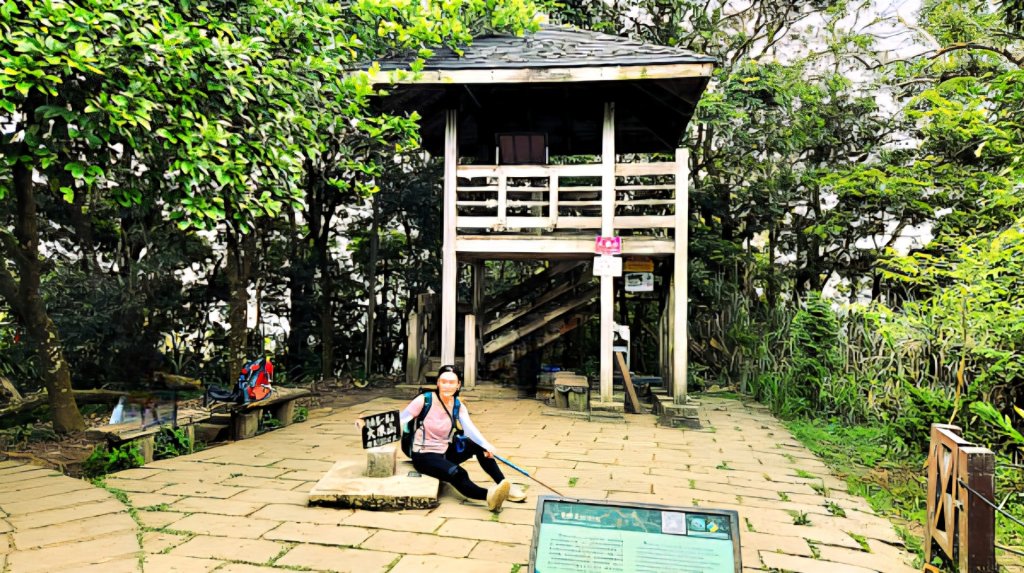 【中級山】台南第一高峰，關子嶺大凍山封面圖