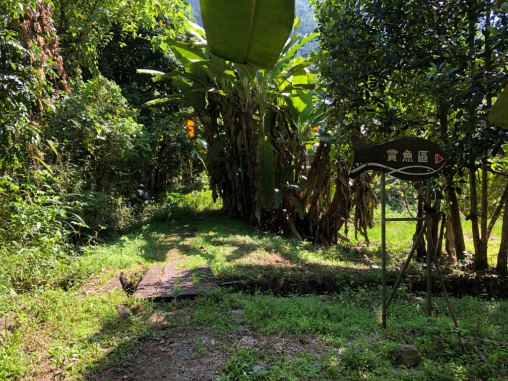 達娜伊谷走里美避難歩道、巨石坂步道_690704