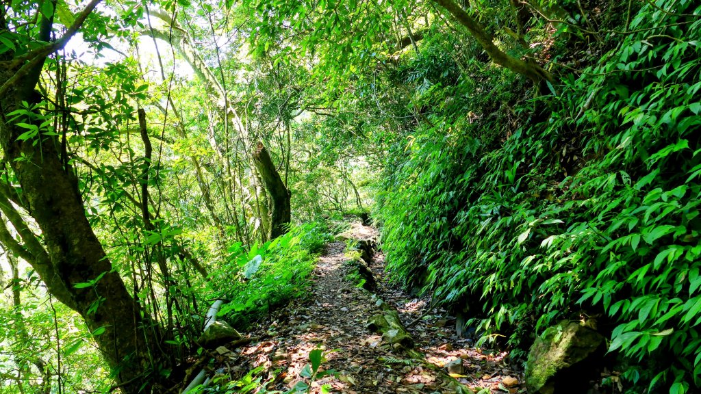 猴崁古道。盧特訪積_2773293