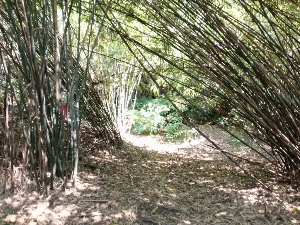 基隆市曾子寮山+大德山+摩天嶺+九華山+龍鳳山+火號山+球子山燈塔+白米甕砲台+白米甕尖+基隆燈塔_3006574