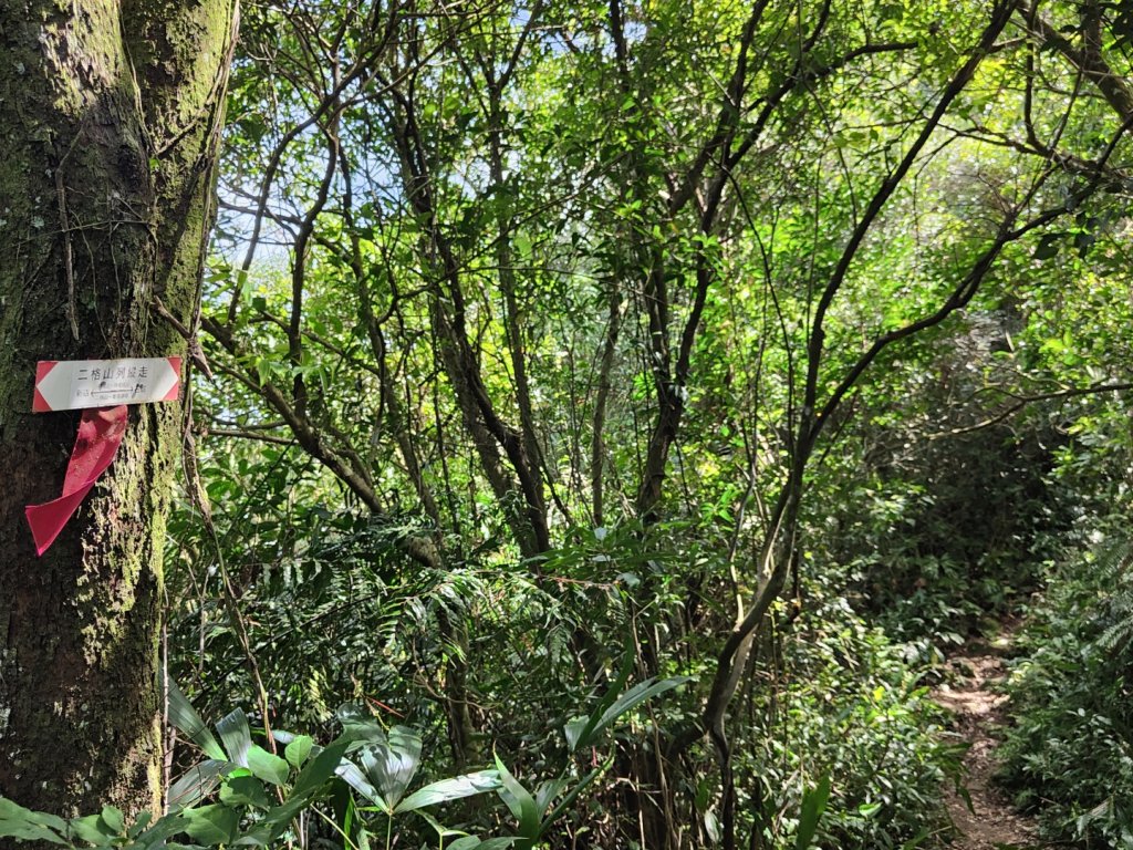 2023.08.26 草湳登二格山_2468922