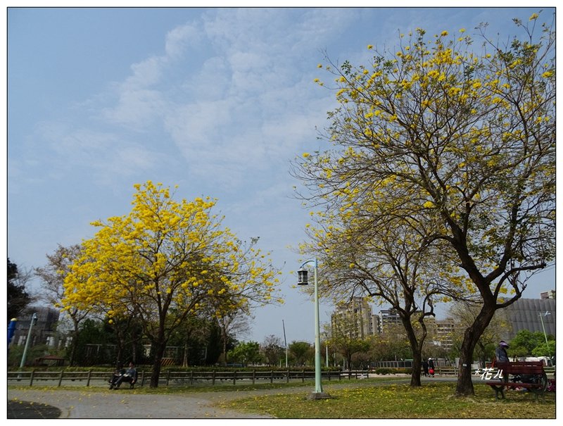 廍子公園/南觀音山_1289690