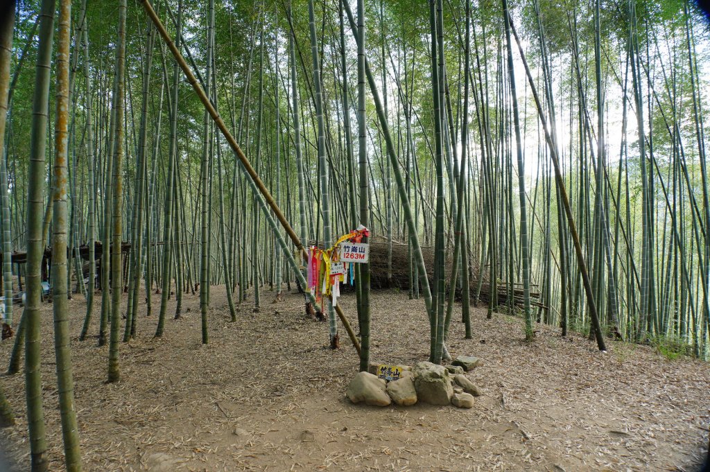 南投 鹿谷 龍鳳山、龍鳳峽山、三叉崙山、水桶寮山、內樹皮山、羊頭崙山、志騰山、竹崙山、溪頭山_2962251