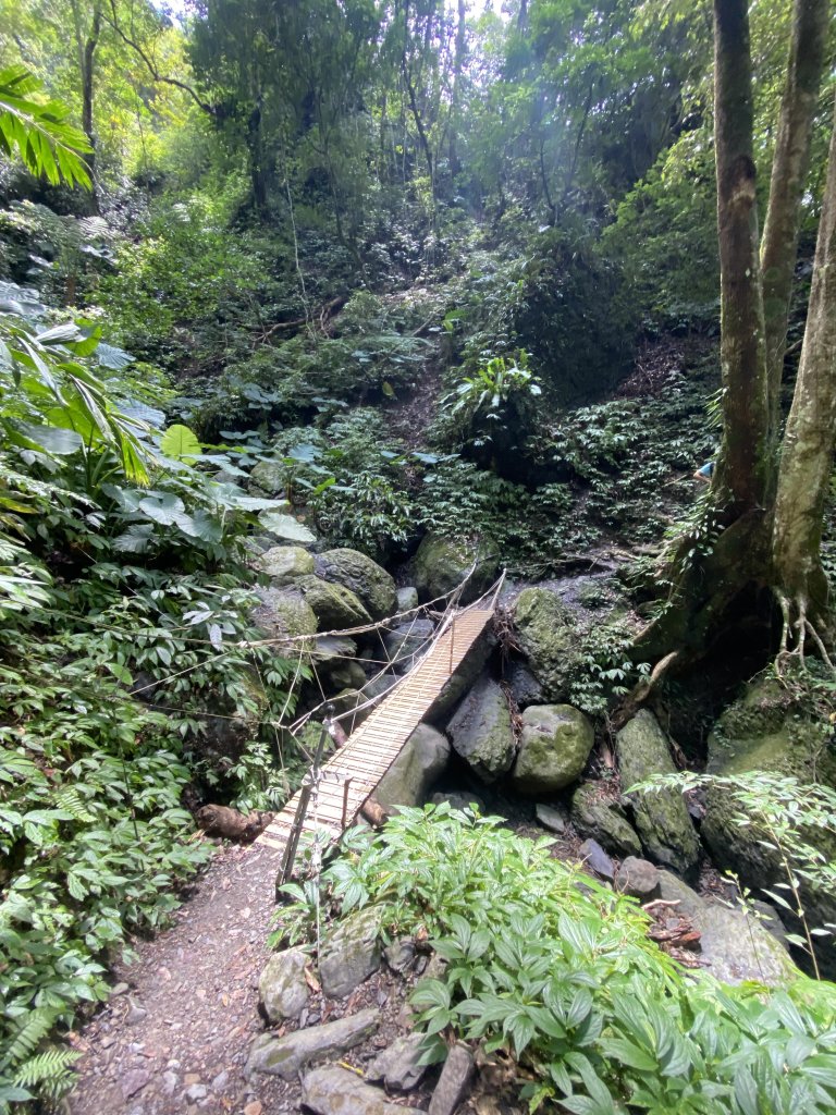 《探訪熊空秘境｜新北三峽雲森瀑布沁涼體驗》_2878467