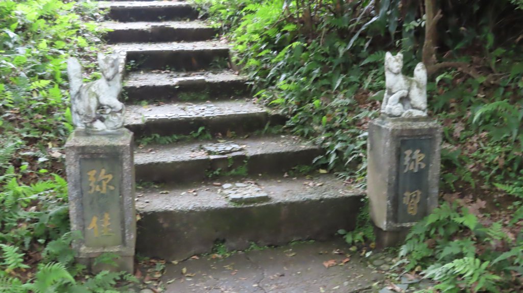 2021-0413 紅淡山尋寶趣_1348160