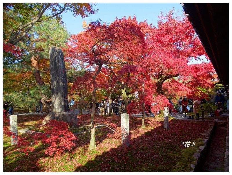 京都/東福寺的紅葉_755288