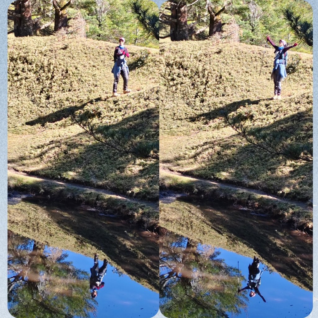 麟趾山、鹿林山、鹿林前山三山縱走(塔塔加三山)_2990377