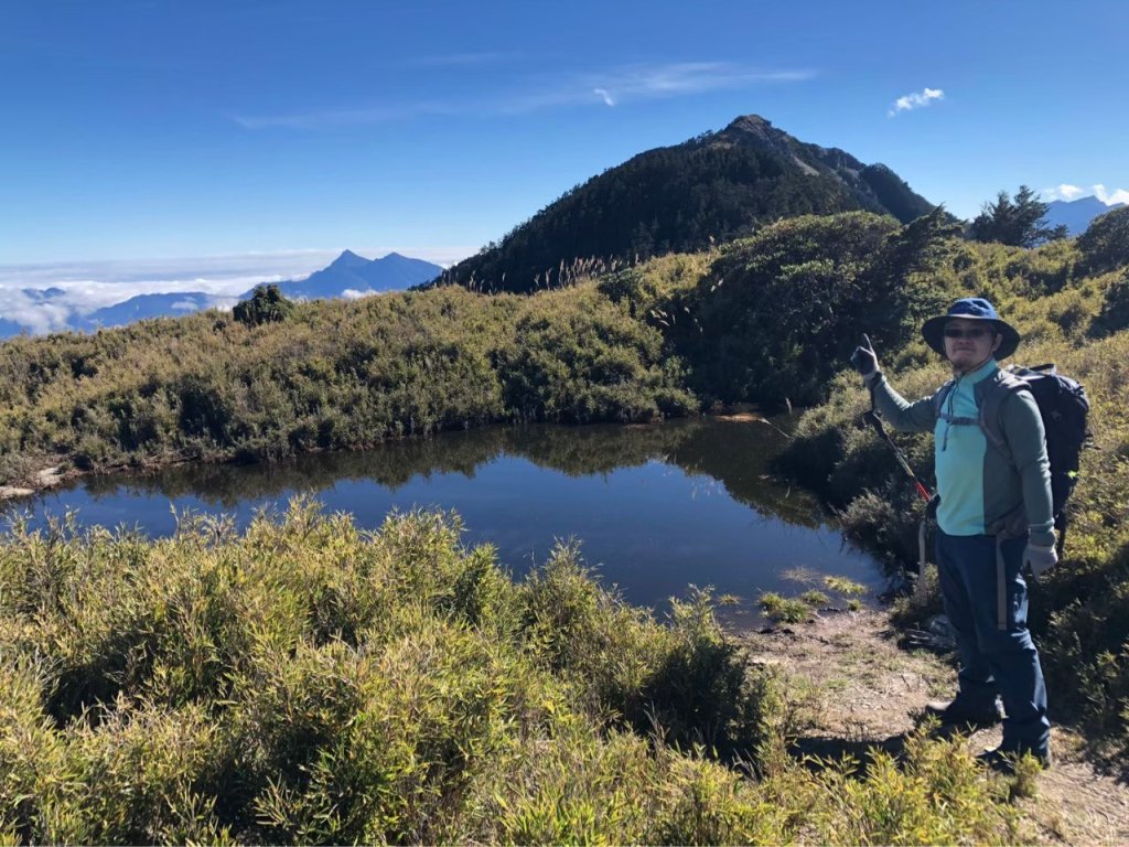 北二段之 甘薯無明_2611879