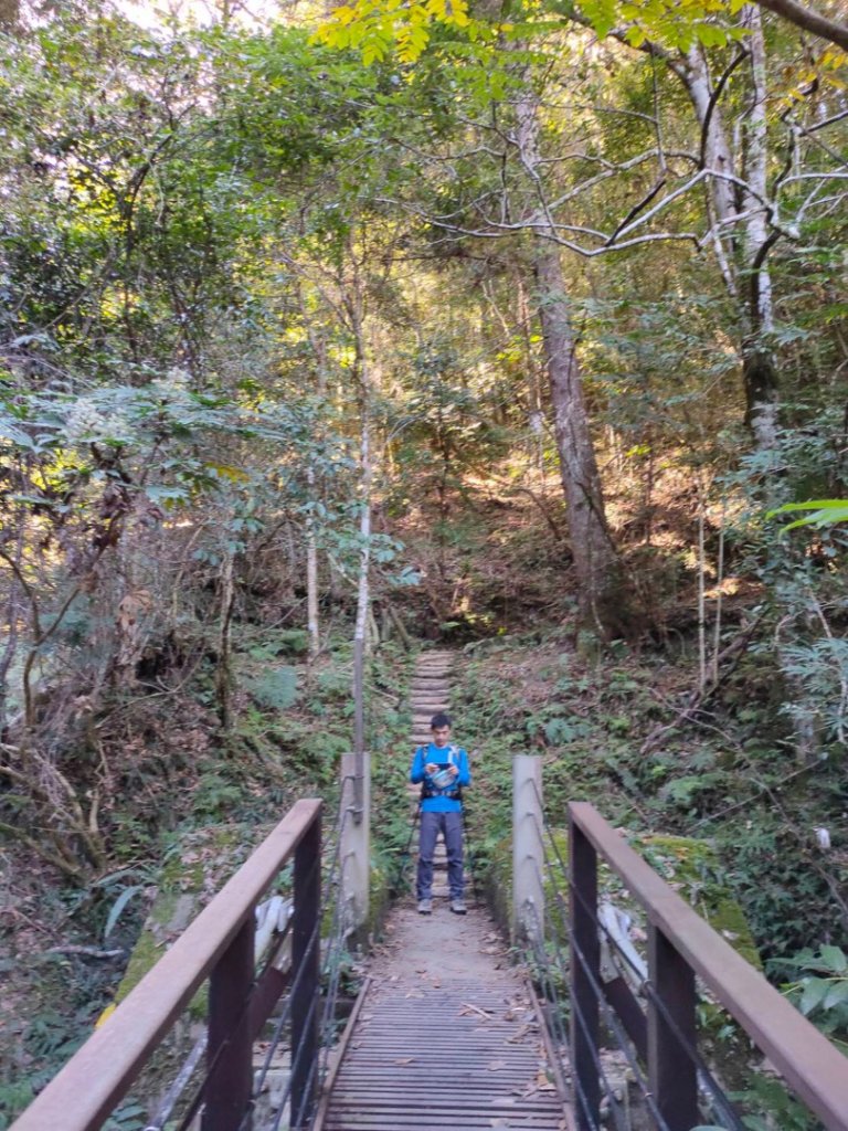 新竹 霞喀羅 石鹿-養老_1189219