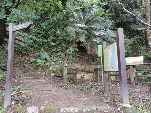 【台中后里】蓊鬱林間。 后里泰安登山步道_1728805