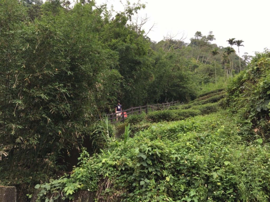 20190501貓仔們龍宮瀑布探險去_576674