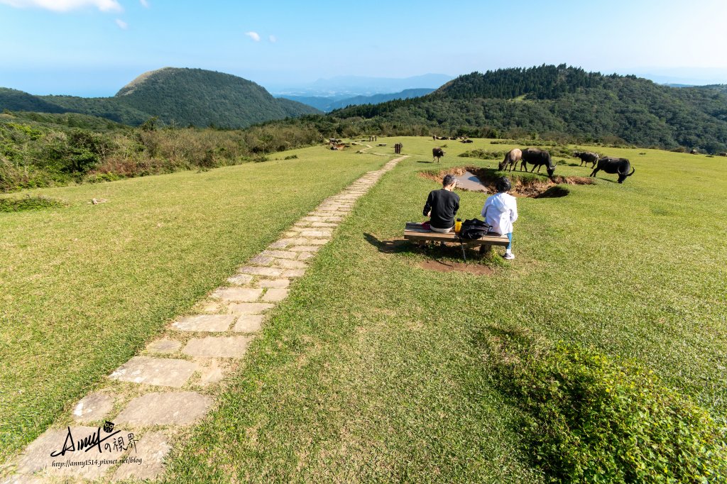 風櫃嘴-頂山-石梯嶺步道封面圖