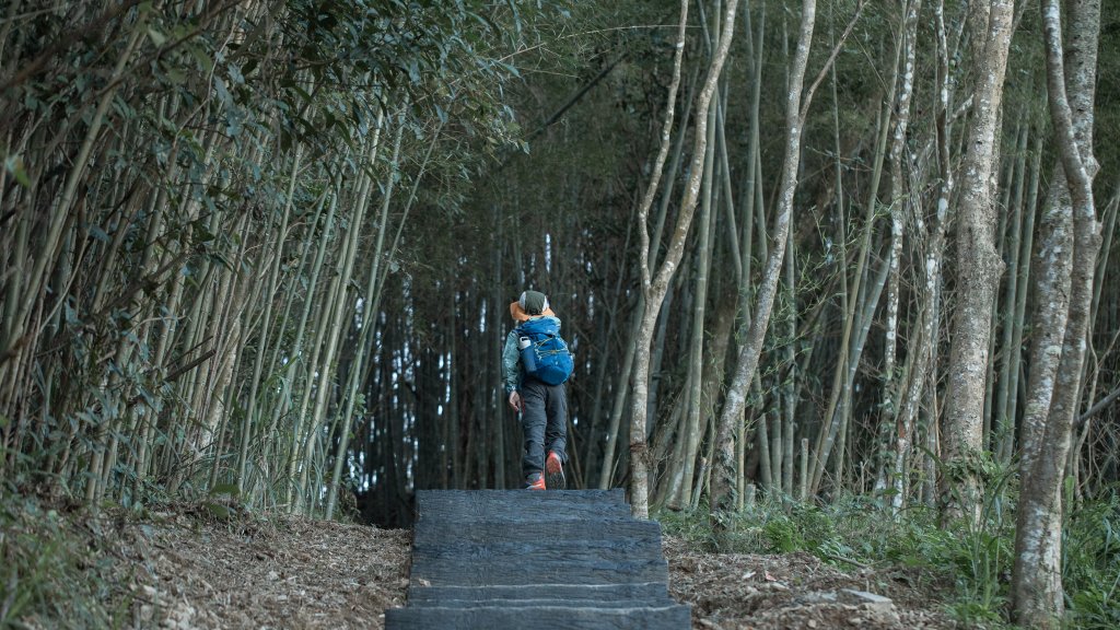 枕頭山古砲台歷史古道O型（含薑母島）_2948455