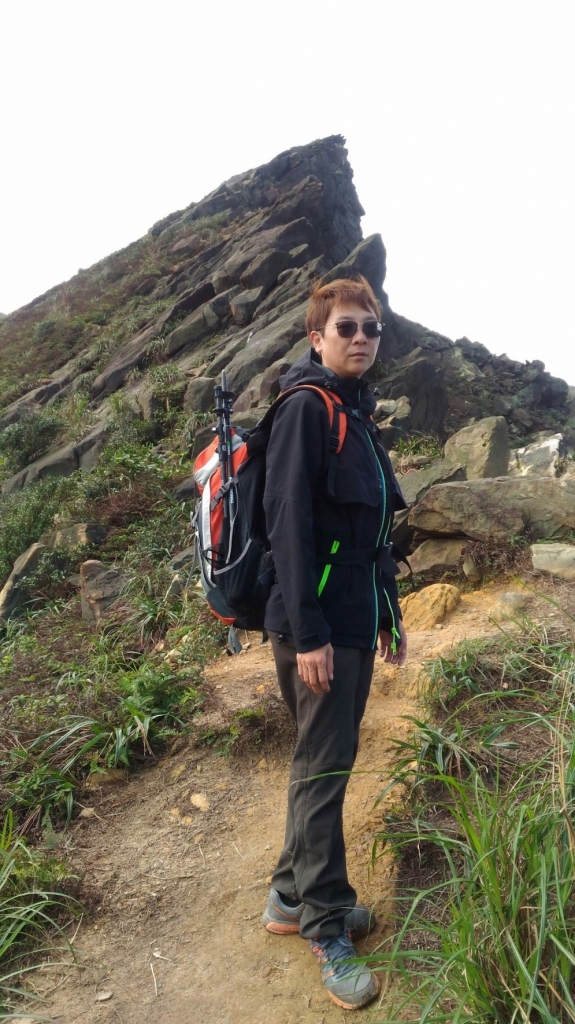 黃金五、六稜: 劍龍稜、鋸齒稜，茶壺山_94525