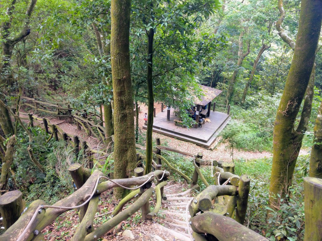 頭嵙山(小百岳#41)大坑4,5,1步道_1003687
