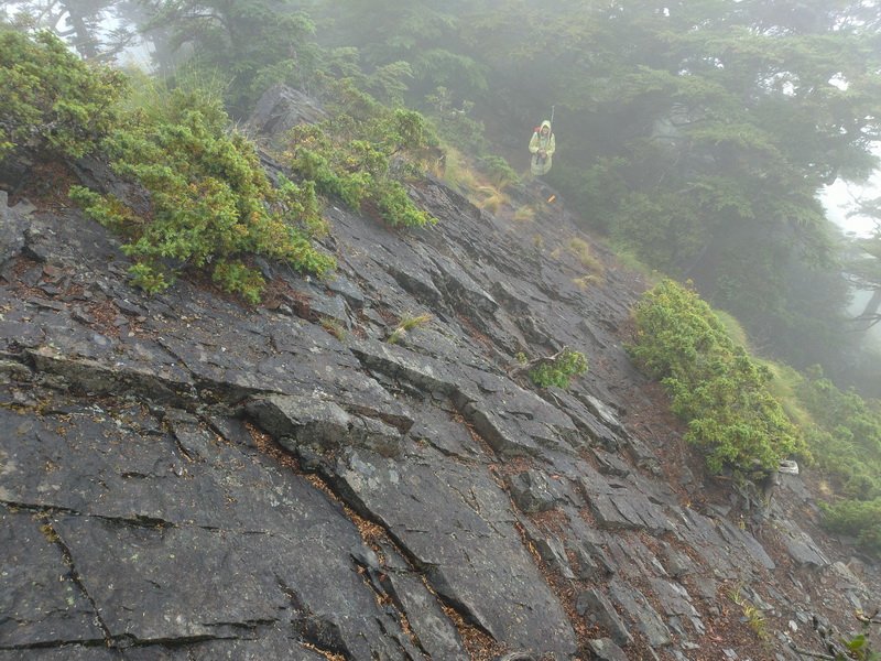 【臺中市和平區】大小劍山、佳陽山3天2夜(中)_1815647