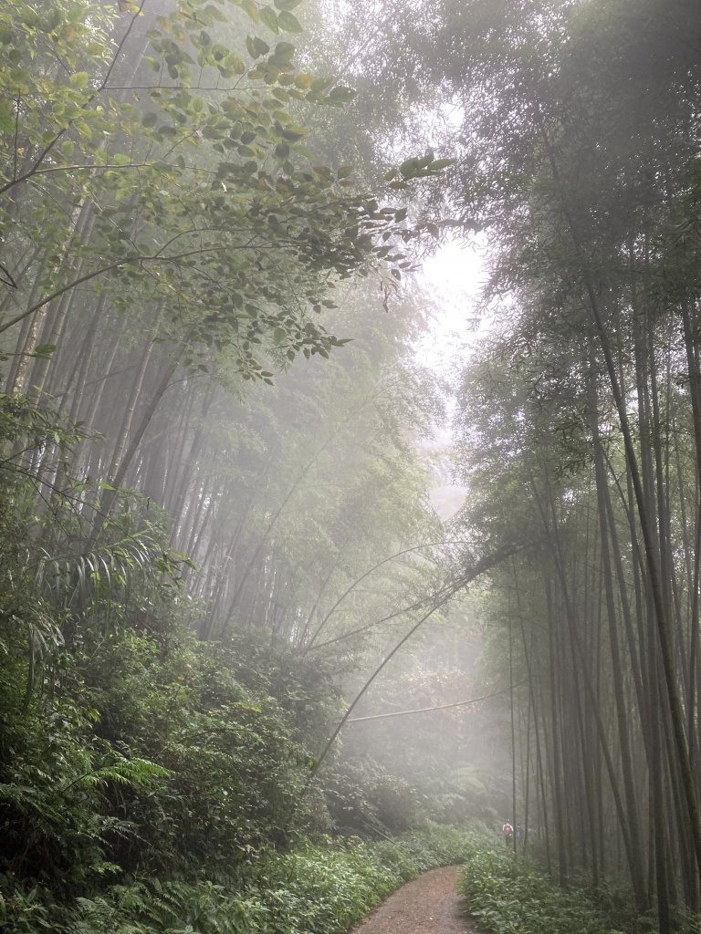 2023-09-30 頂石棹 雲之道_2300734