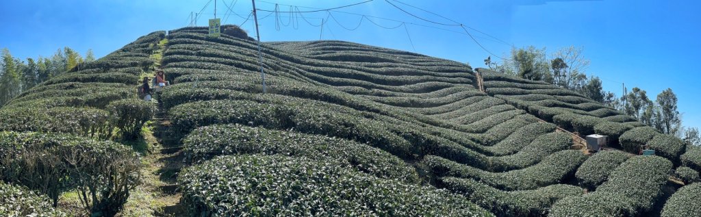 溪頭六連峰O繞_2741713