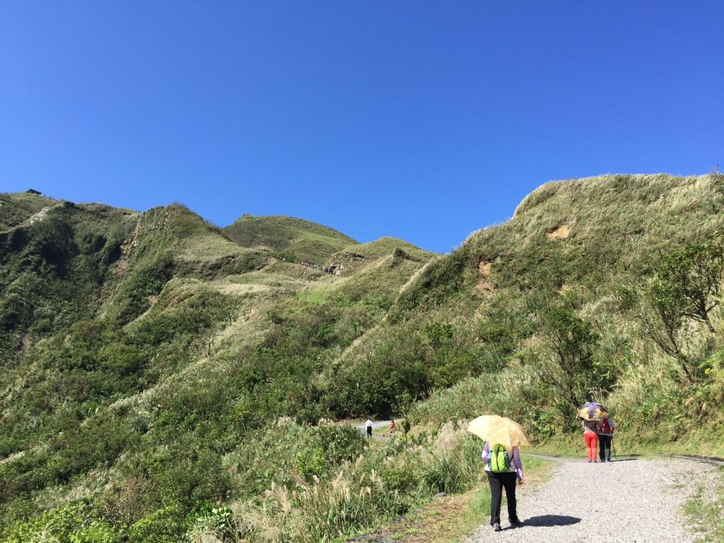 草嶺古道封面圖