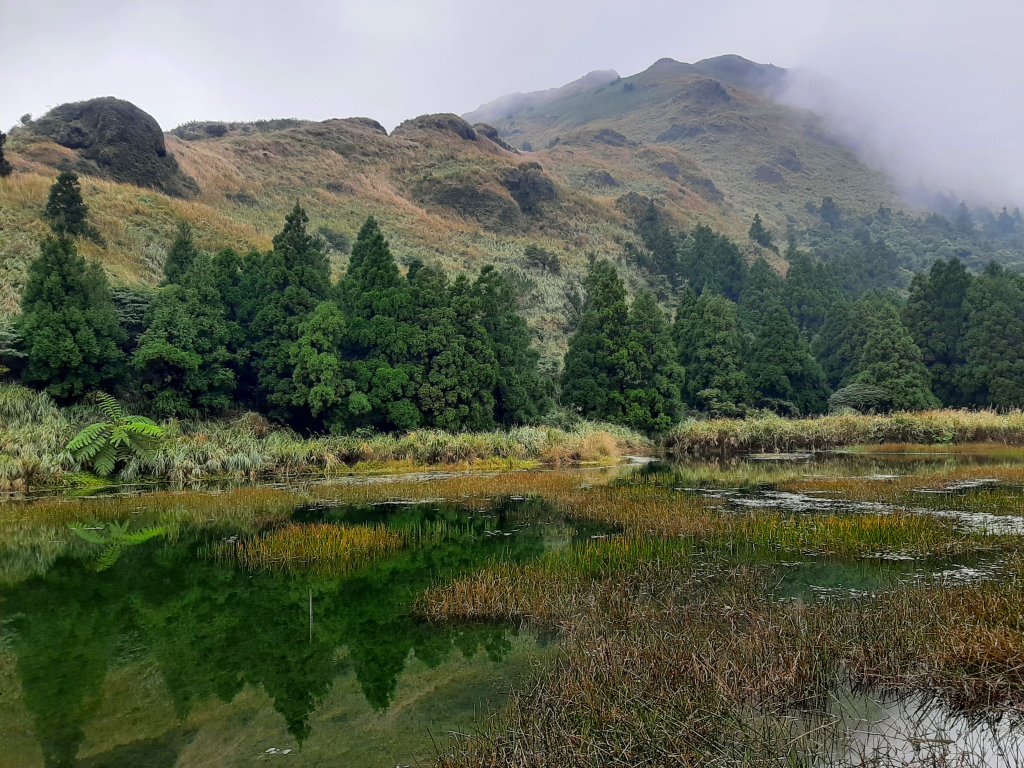 古道探訪｜七星山主東峰苗圃線_1567646