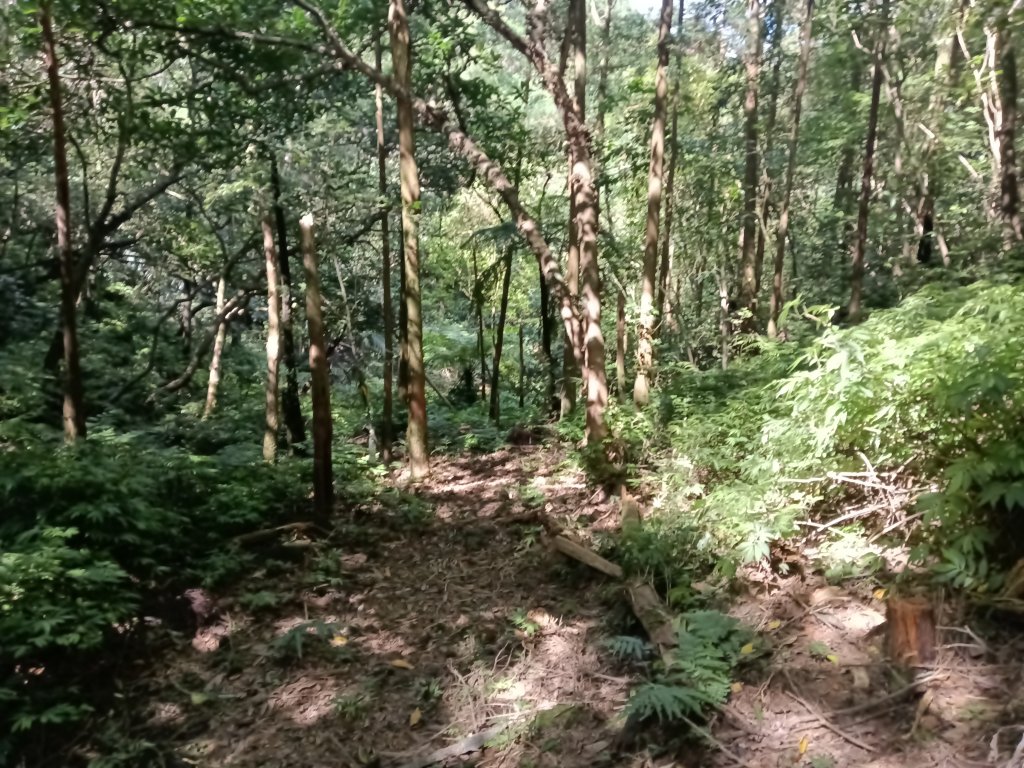 平溪區平湖尖+南山坪山+司公碗帽山+和尚尖O型_2810819