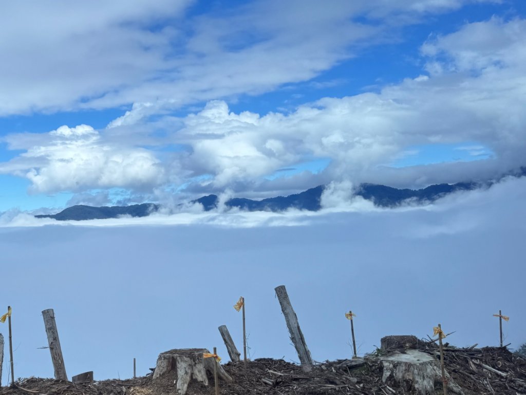 觀霧-榛山步道_2926025