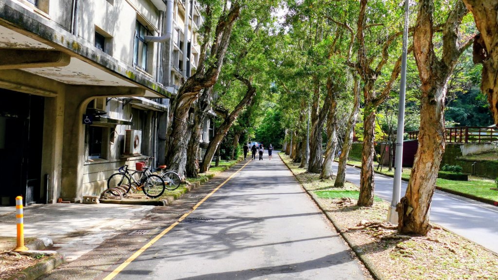 矽之長歌_2968729